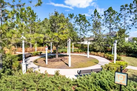 1643 Ludington Avenue Wesley Chapel FL 33543