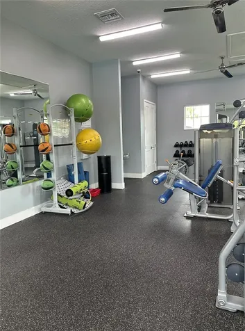 1643 Ludington Avenue Wesley Chapel FL 33543