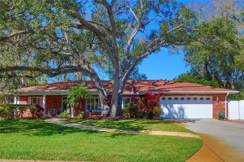 416 Montrose Avenue Temple Terrace FL 33617