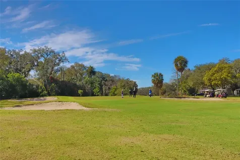 416 Montrose Avenue Temple Terrace FL 33617