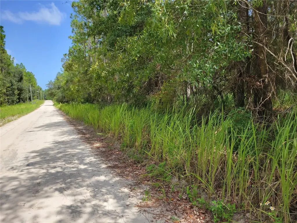 NE 78th Lane Bronson FL 32621