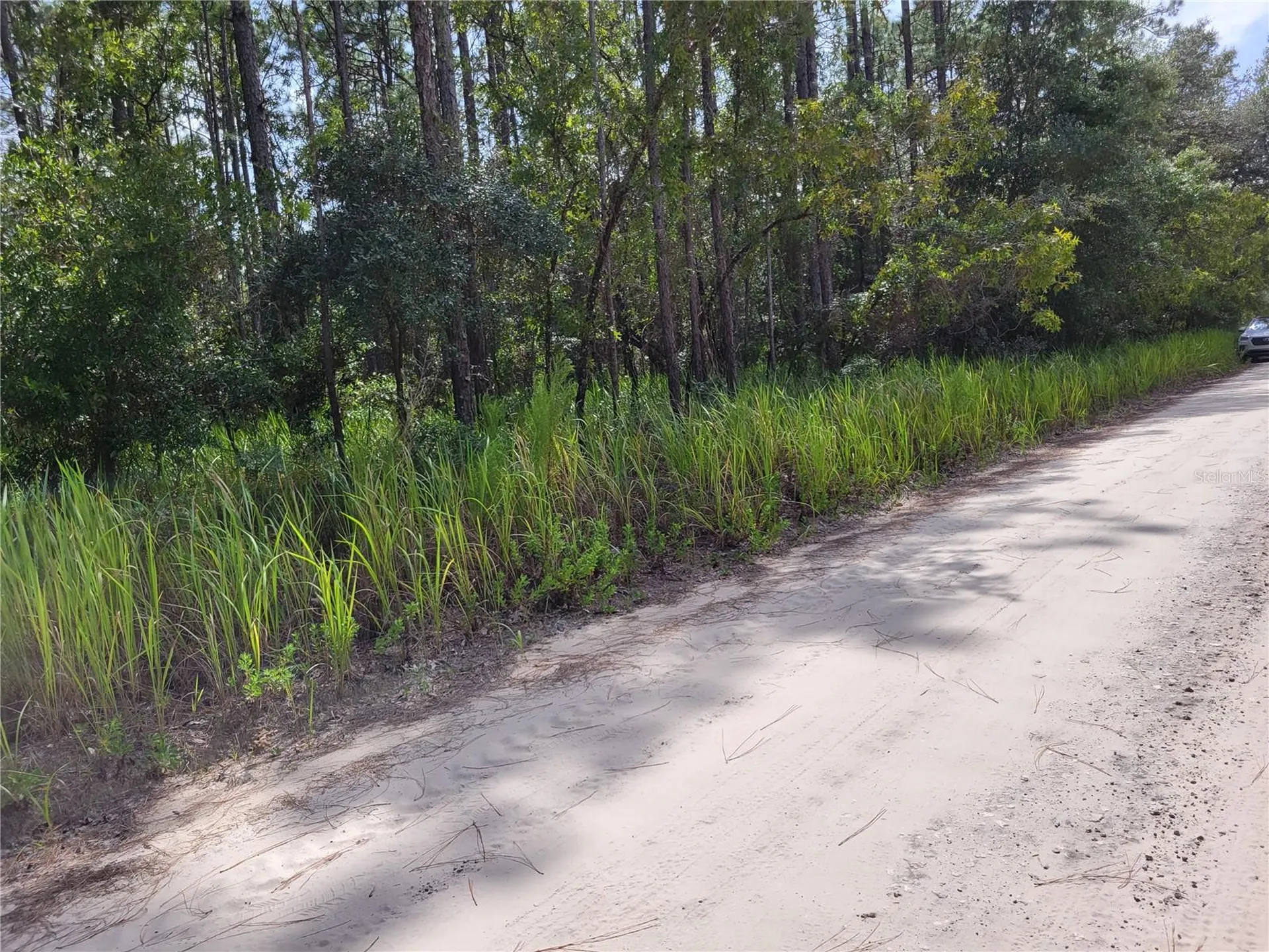NE 78th Lane Bronson FL 32621