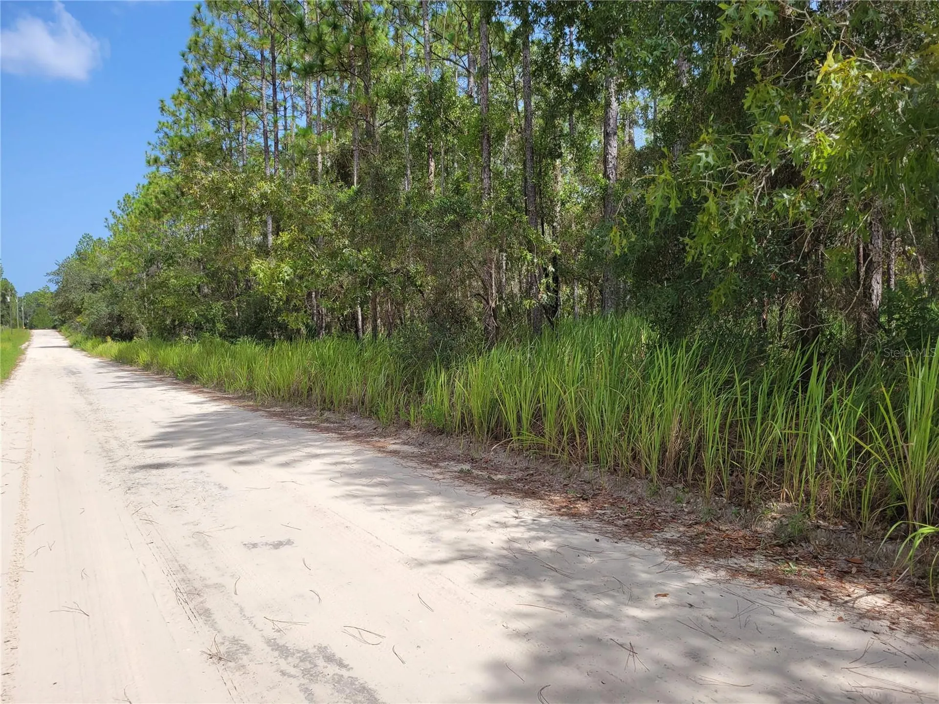 NE 78th Lane Bronson FL 32621