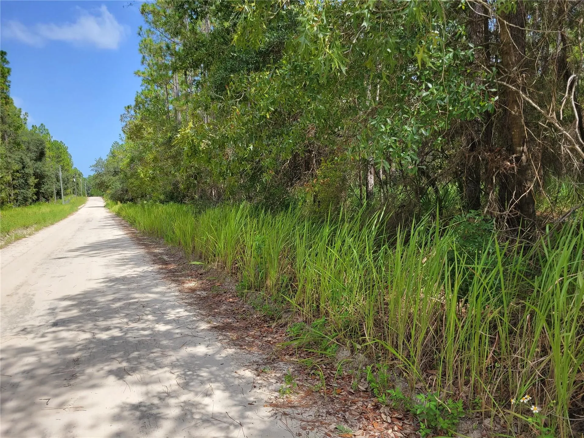 NE 78th Lane Bronson FL 32621
