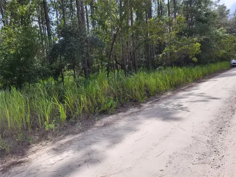 NE 78th Lane Bronson FL 32621