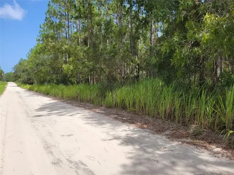 NE 78th Lane Bronson FL 32621