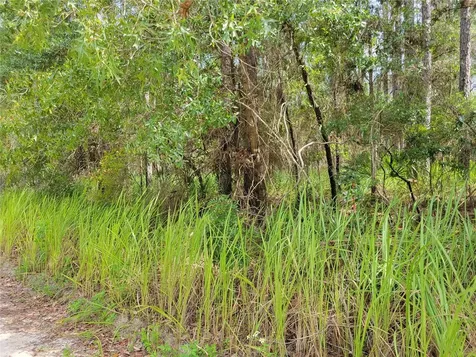 NE 78th Lane Bronson FL 32621