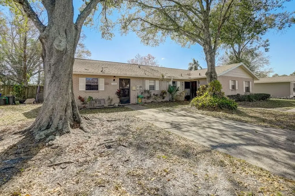 5106 Lawnton Court Tampa FL 33624