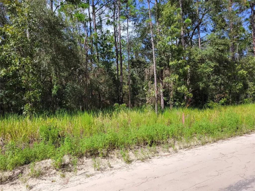 NE 78th Lane Bronson FL 32621