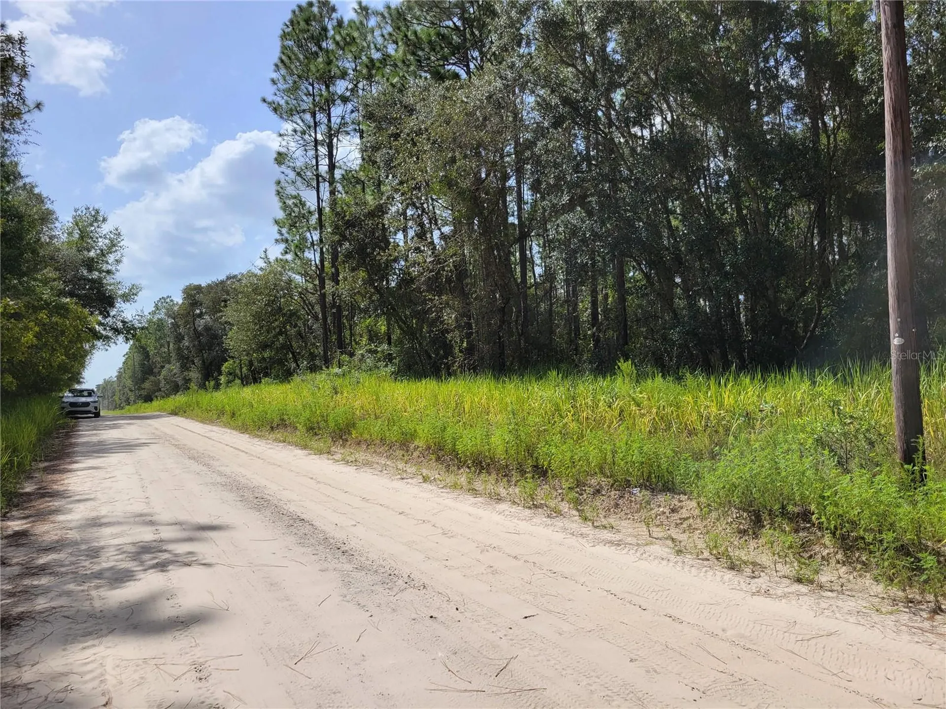 NE 78th Lane Bronson FL 32621
