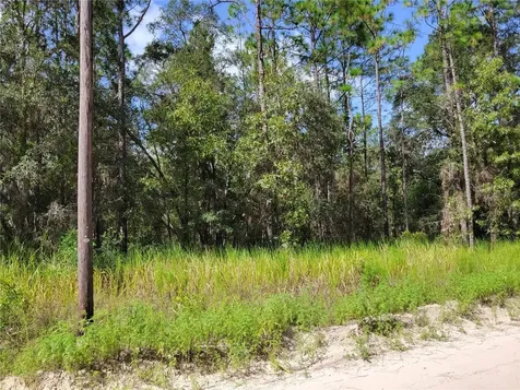 NE 78th Lane Bronson FL 32621