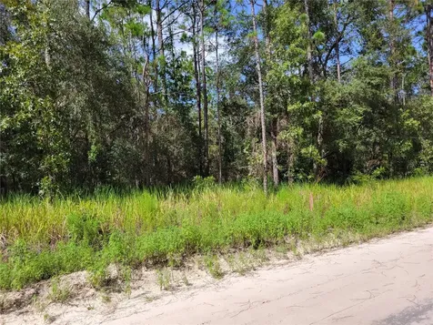 NE 78th Lane Bronson FL 32621