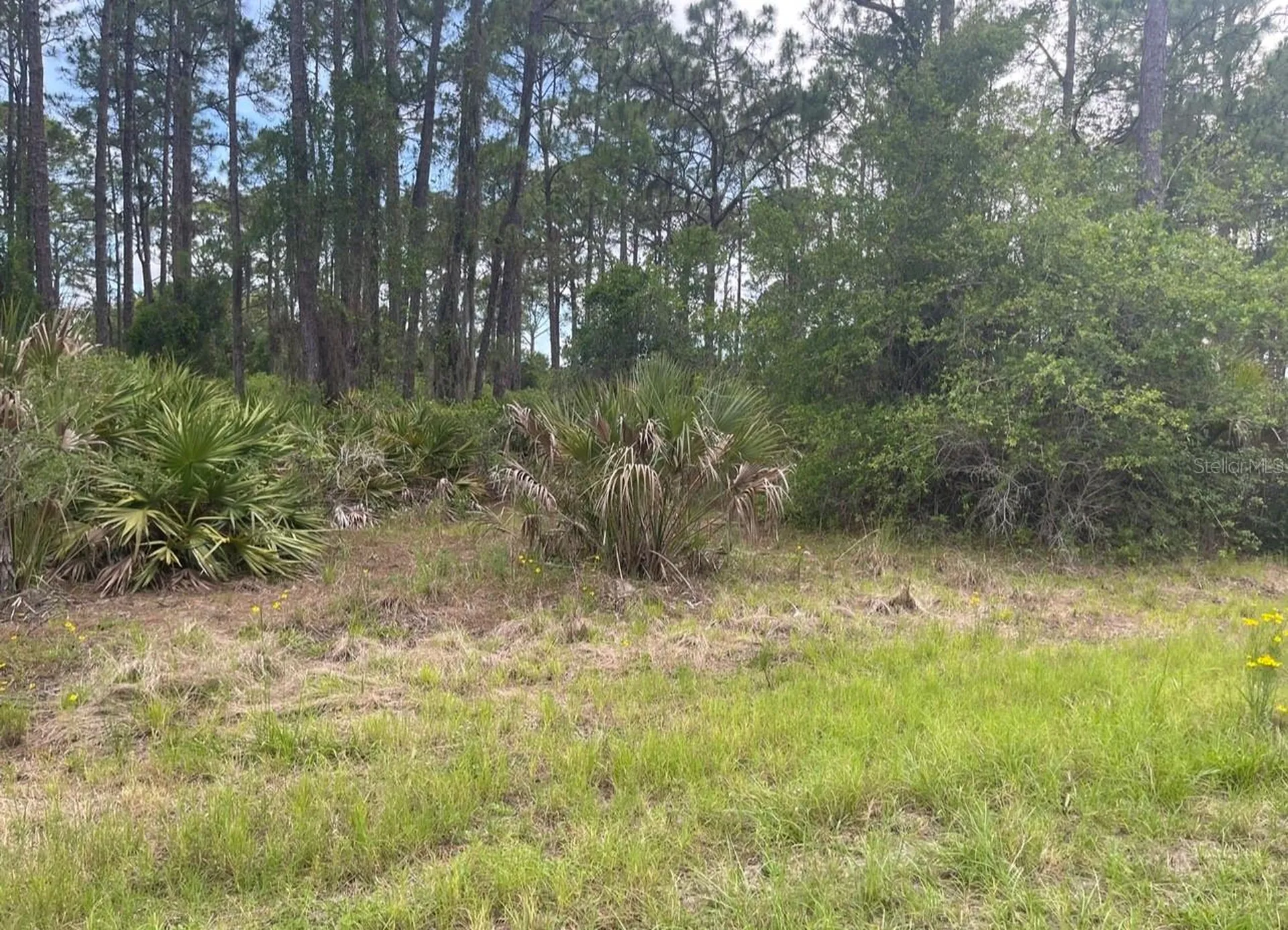 0954126609 Averette Avenue North Port FL 34291