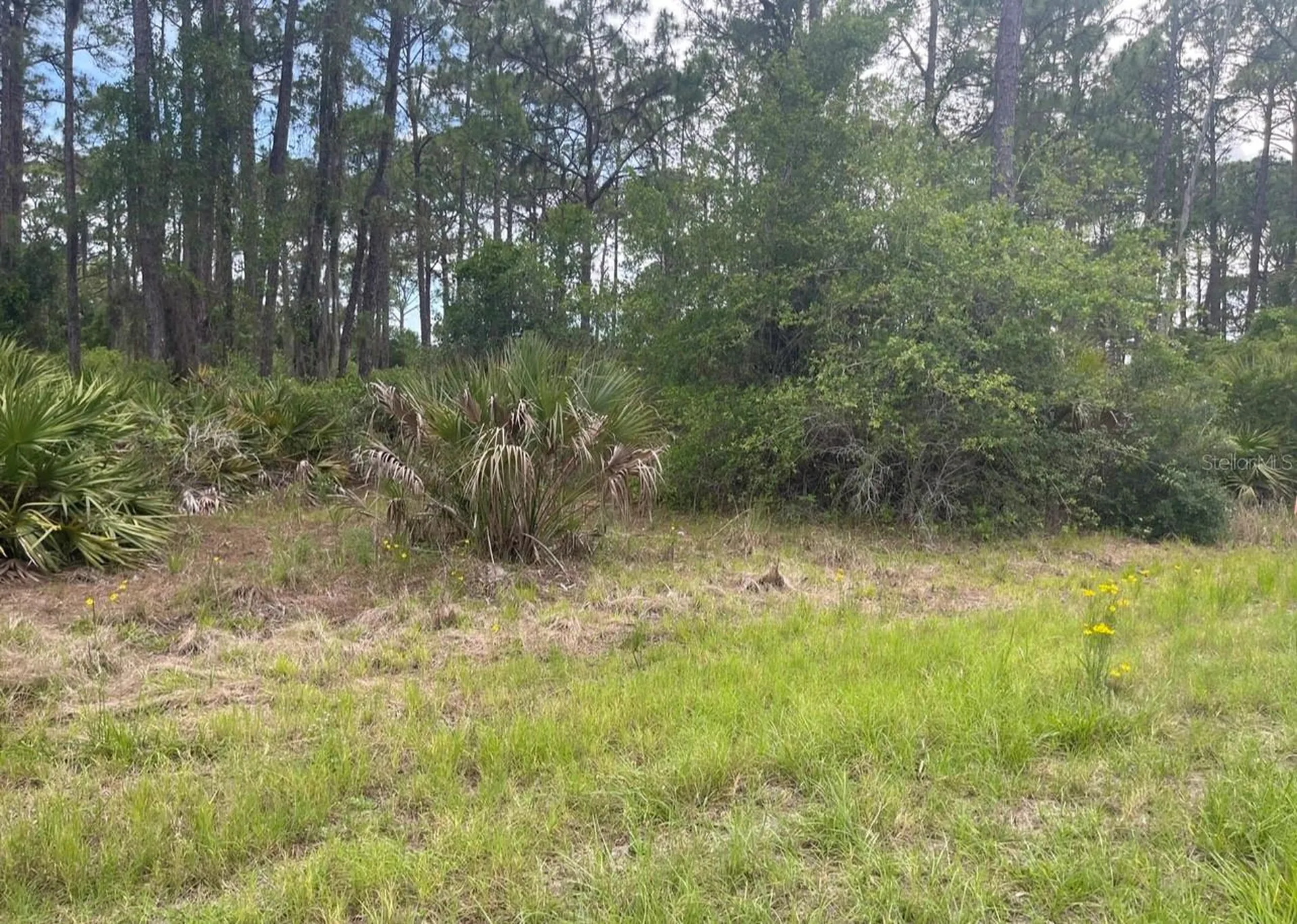0954126609 Averette Avenue North Port FL 34291