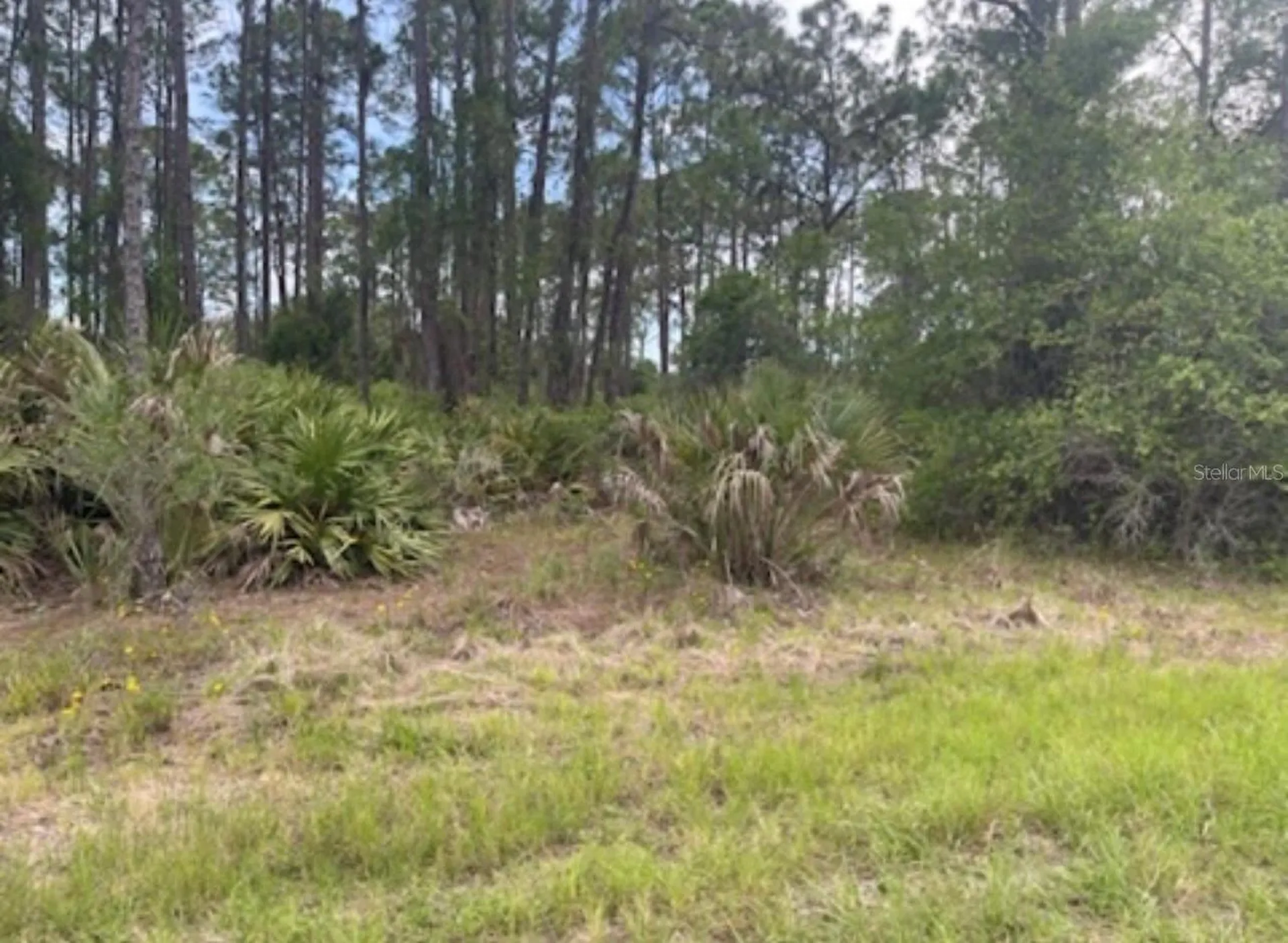 0954126609 Averette Avenue North Port FL 34291