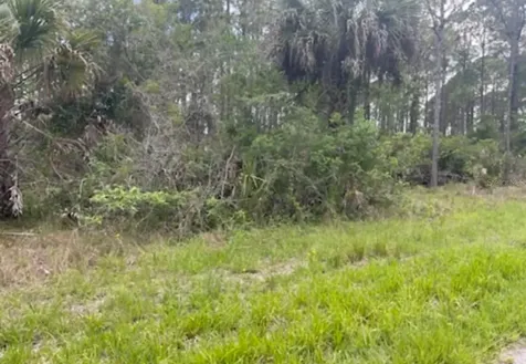 0954126609 Averette Avenue North Port FL 34291