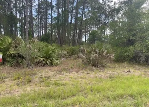 0954126609 Averette Avenue North Port FL 34291