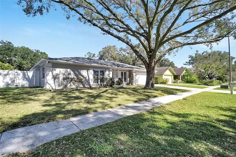 1743 Shady Leaf Drive Valrico FL 33596