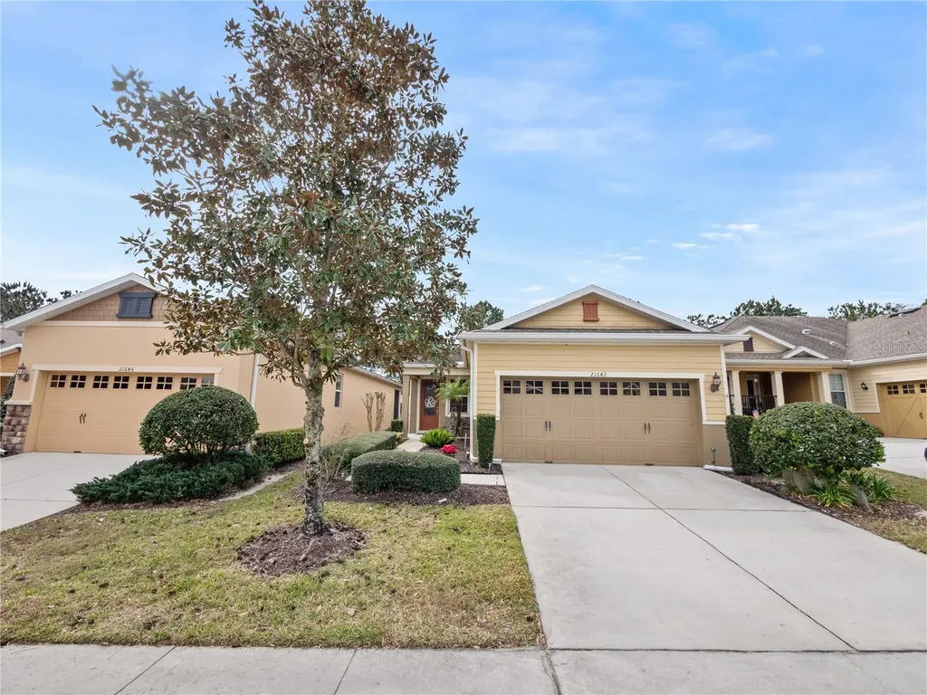 21642 Belgian Court Mount Dora FL 32757