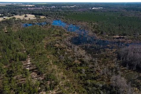 Tbd NW County Road 232 Trenton FL 32693