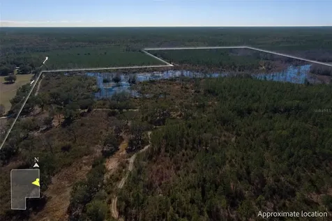 Tbd NW County Road 232 Trenton FL 32693