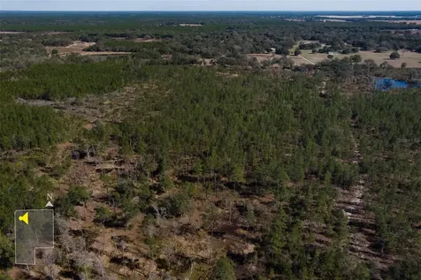 Tbd NW County Road 232 Trenton FL 32693