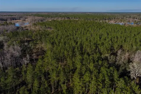Tbd NW County Road 232 Trenton FL 32693