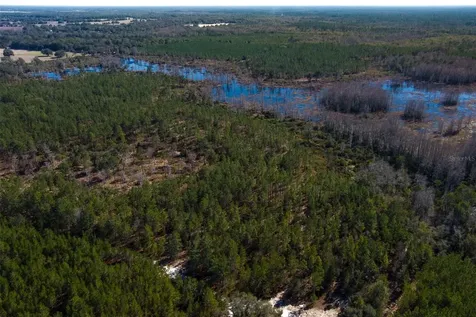 Tbd NW County Road 232 Trenton FL 32693