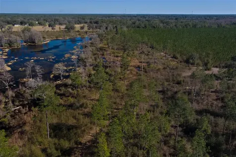Tbd NW County Road 232 Trenton FL 32693