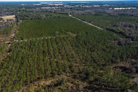 Tbd NW County Road 232 Trenton FL 32693