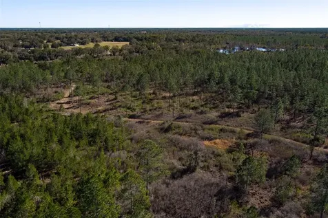 Tbd NW County Road 232 Trenton FL 32693