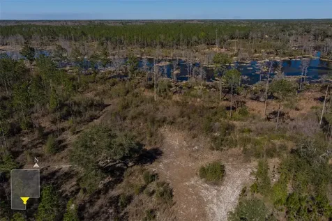 Tbd NW County Road 232 Trenton FL 32693