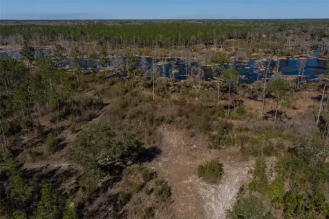 Tbd NW County Road 232 Trenton FL 32693