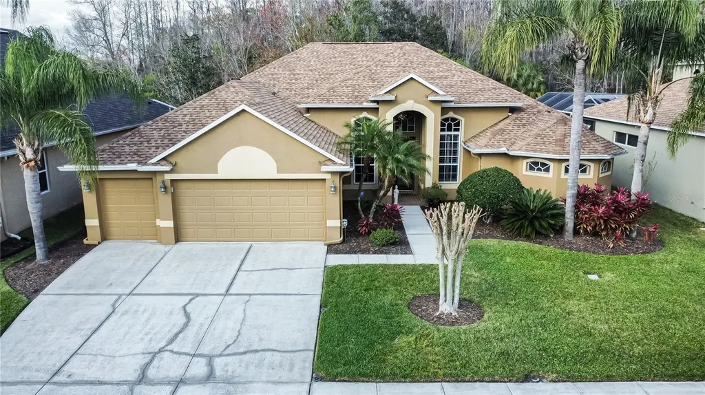26604 Shoregrass Drive Wesley Chapel FL 33544