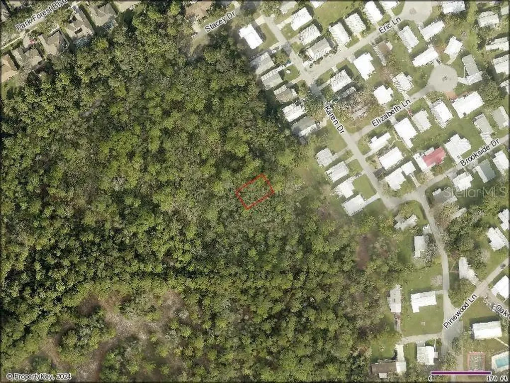 Karen Drive Mount Dora FL 32757