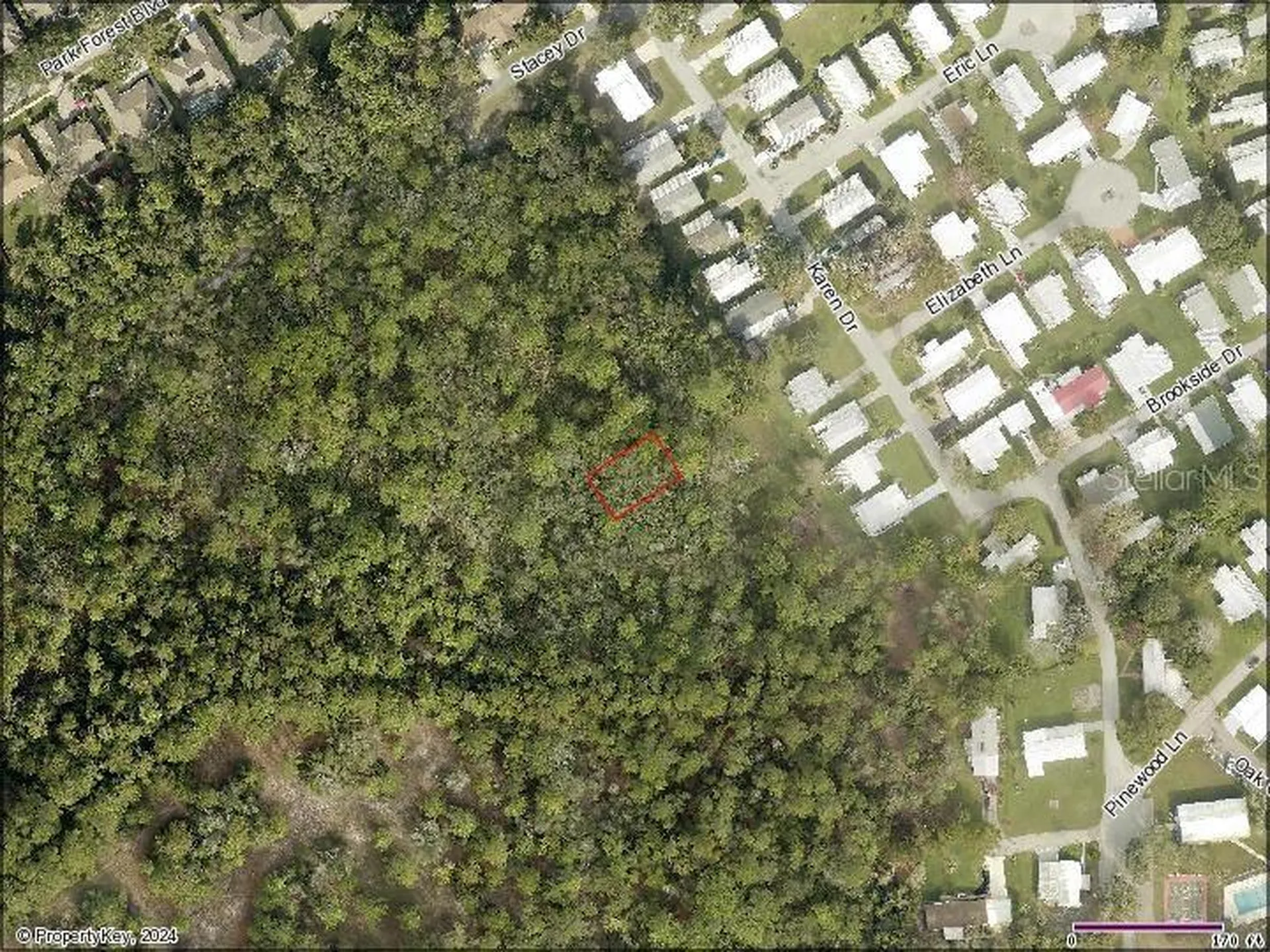 Karen Drive Mount Dora FL 32757