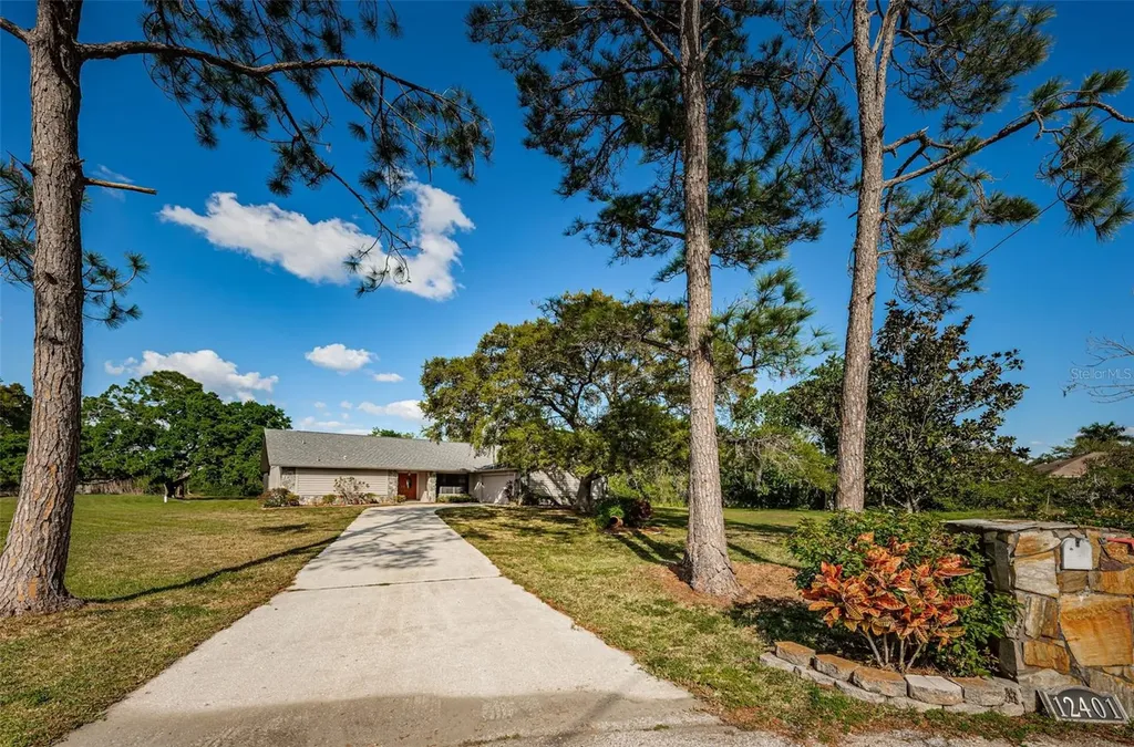 12401 Pony Court Tampa FL 33626