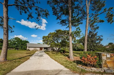 12401 Pony Court Tampa FL 33626