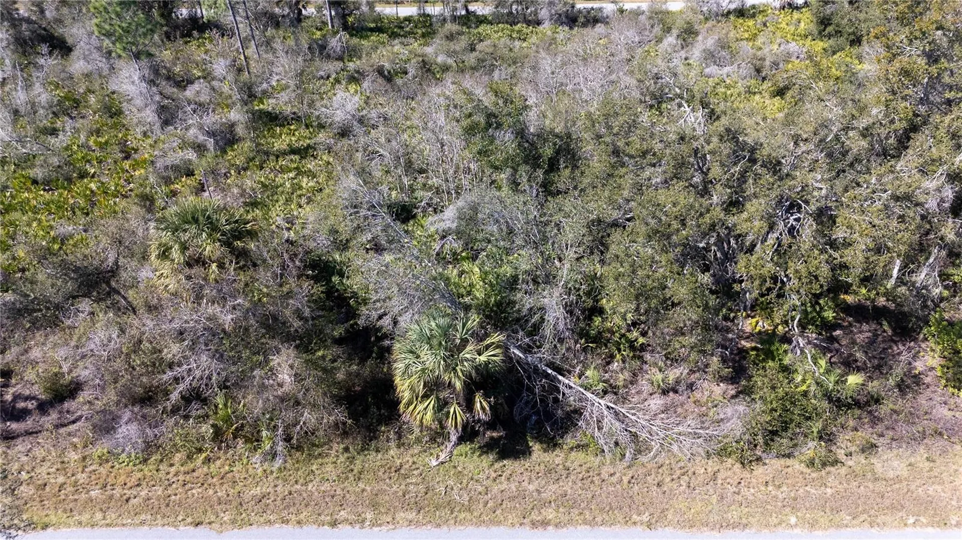 2099 Busher Street Port Charlotte FL 33953