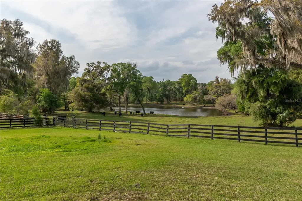 12275 W Highway 318 Reddick FL 32686