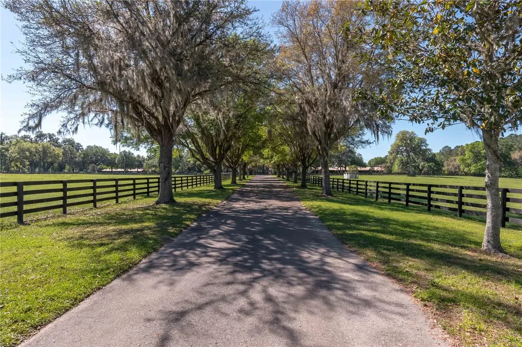 12275 W Highway 318 Reddick FL 32686