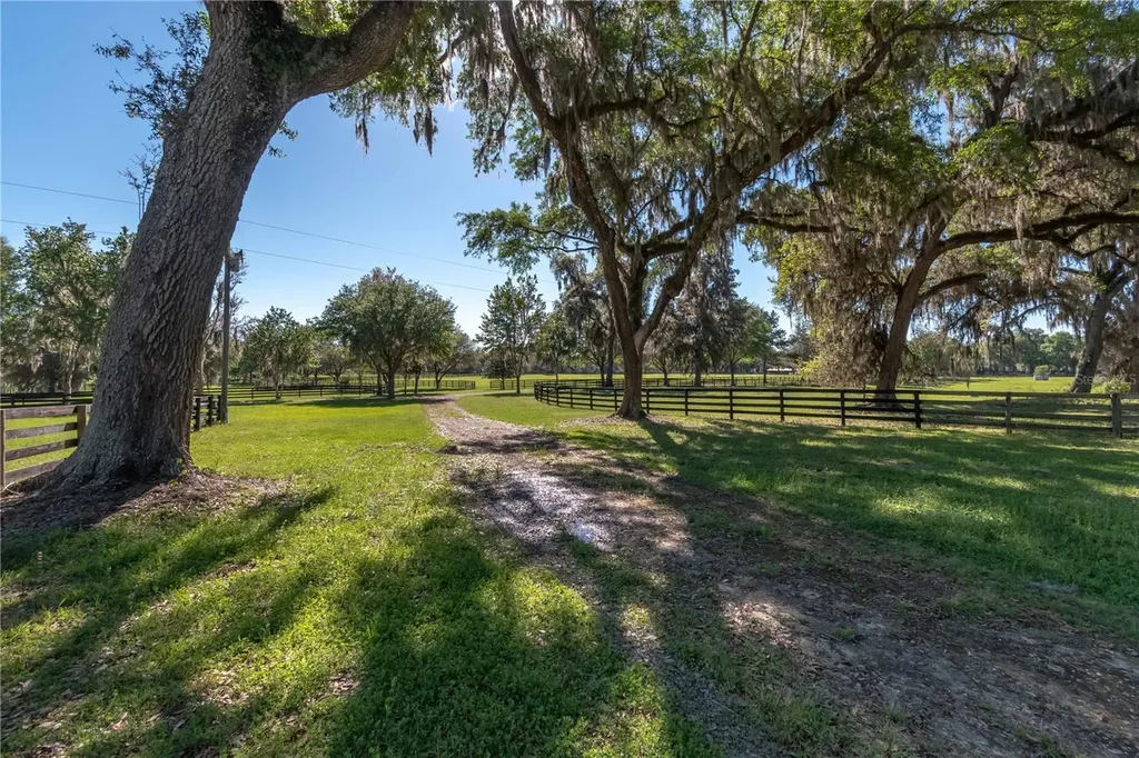 12275 W Highway 318 Reddick FL 32686