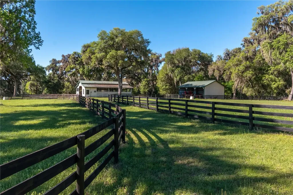 12275 W Highway 318 Reddick FL 32686