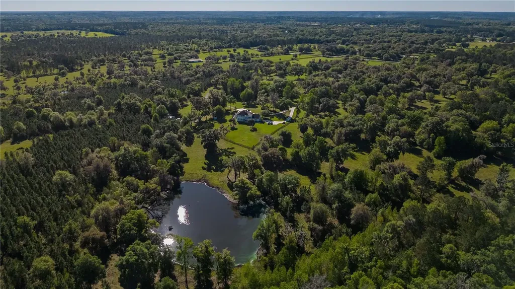 12275 W Highway 318 Reddick FL 32686