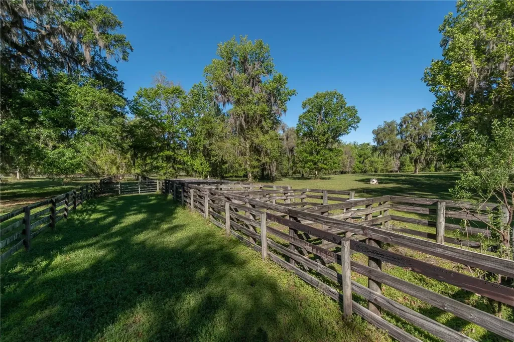 12275 W Highway 318 Reddick FL 32686