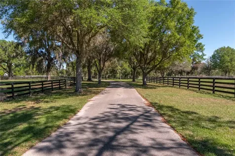12275 W Highway 318 Reddick FL 32686