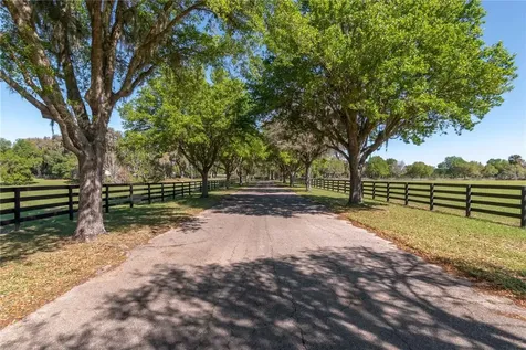 12275 W Highway 318 Reddick FL 32686
