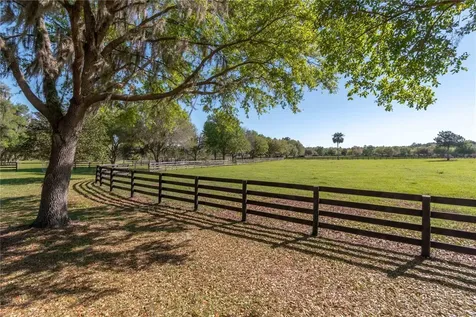 12275 W Highway 318 Reddick FL 32686