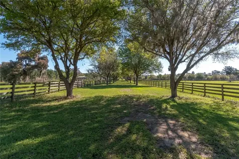 12275 W Highway 318 Reddick FL 32686