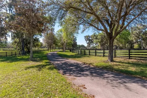 12275 W Highway 318 Reddick FL 32686
